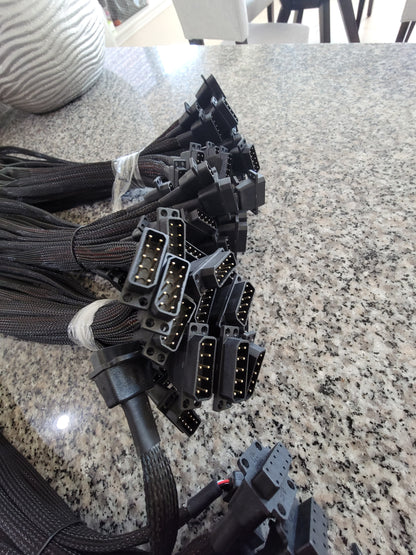 Custom Wire Harness